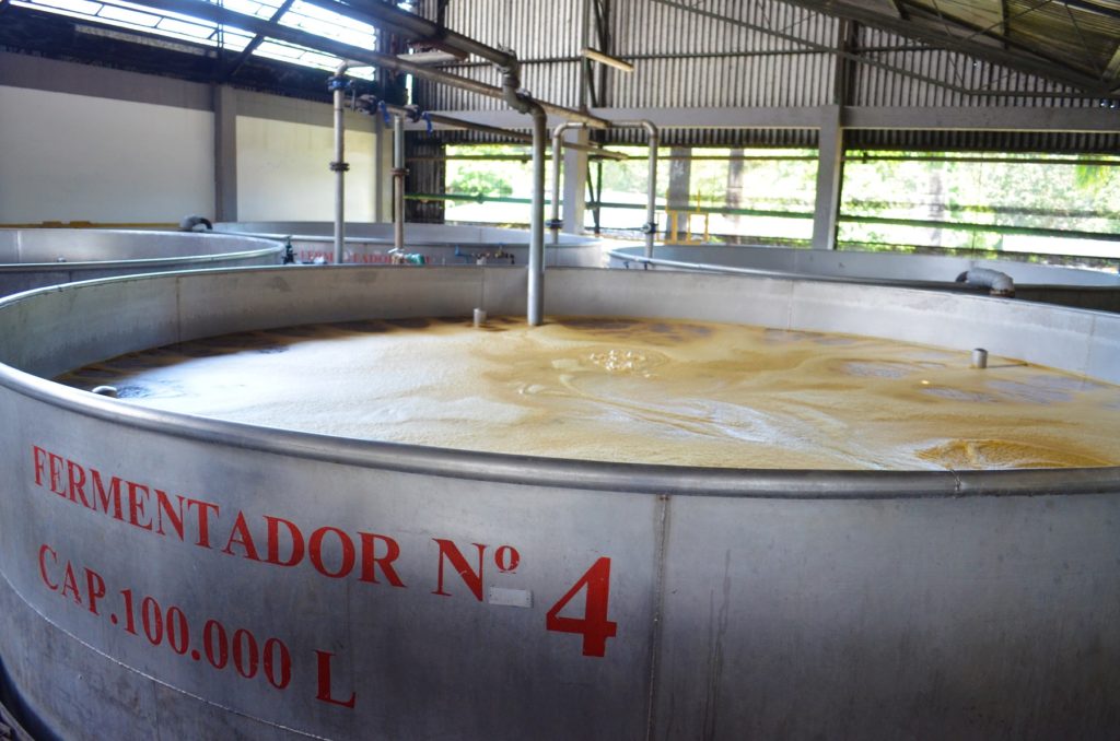 Diplomático Rum fermentation 
