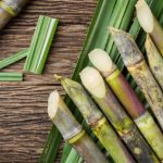 Sustainability in the rum industry - sugarcane