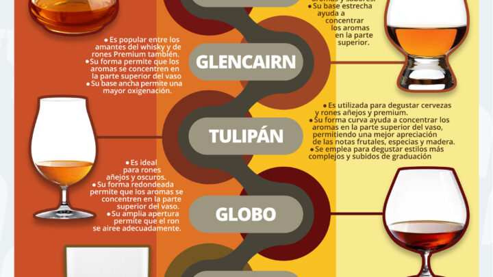 5 vasos para catar ron Infografía de la semana