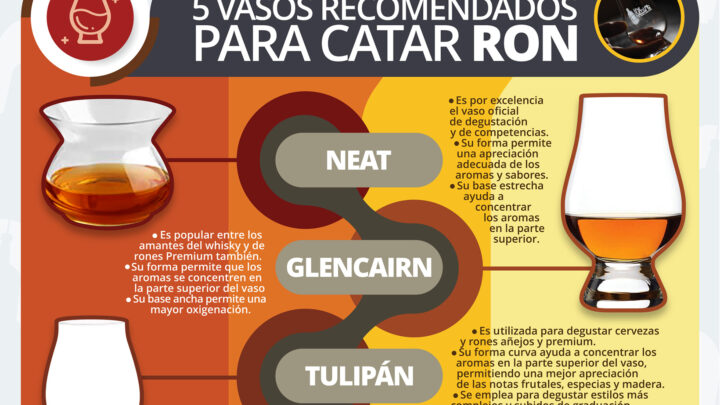 5 vasos para catar ron Infografía de la semana