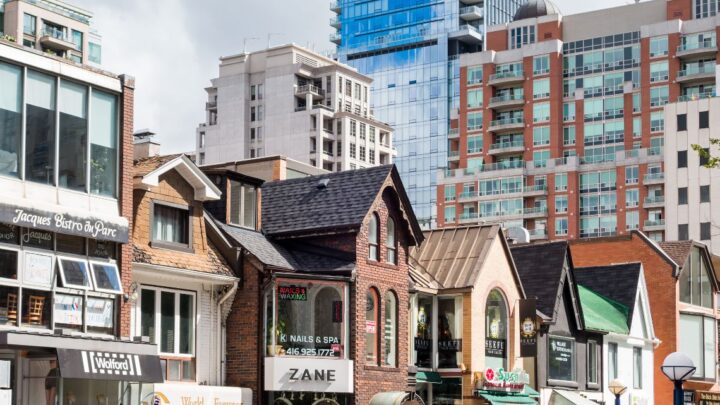Bacardi returns to LCBO