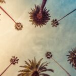 Los Angeles Rum Bars 2025