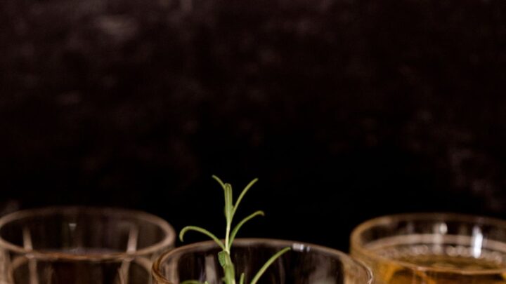 Duppy Share Rum Launches £1M Crowdfunding Drive with New Duppy House Range