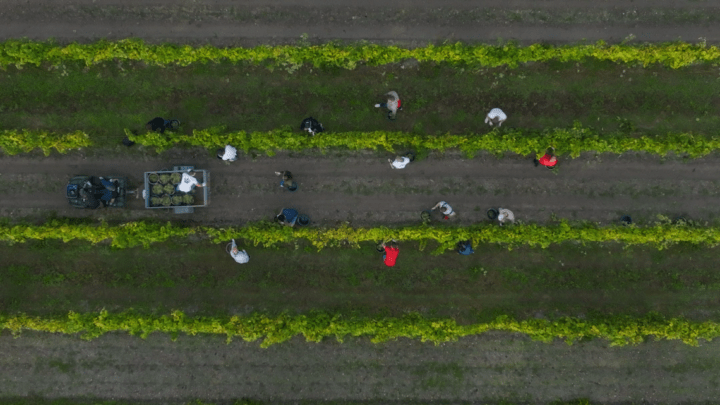 Maison Villevert Earns B Corp Certification, Strengthening Its Responsible Model